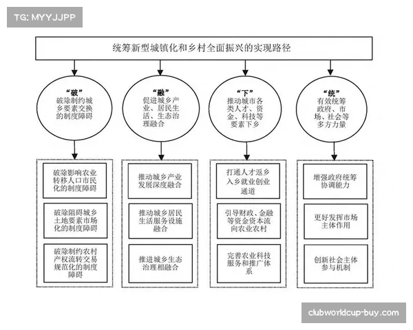 阿利乌法德拉的豪门论与萨索洛选择背后的现实逻辑探讨 阿利乌法德拉的豪门论与萨索洛选择背后的现实逻辑探讨